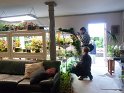 033-one of Bill'sPlantRoomsGS